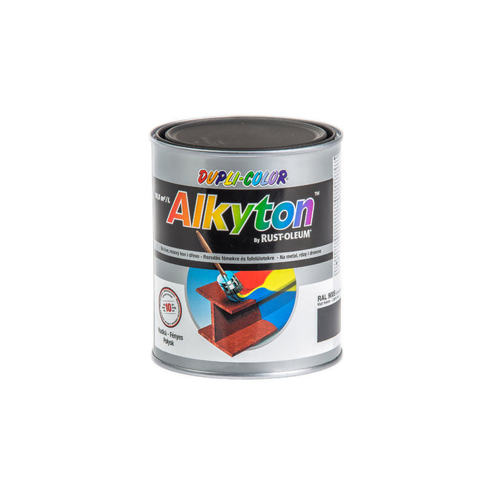 ANTI-CORROSION PAINT 4B1 ALKYTON RAL 9005 DUPLI COLOR - Алкидни и водоразтворими<<<Бои за метал и дърво<<<Бои и