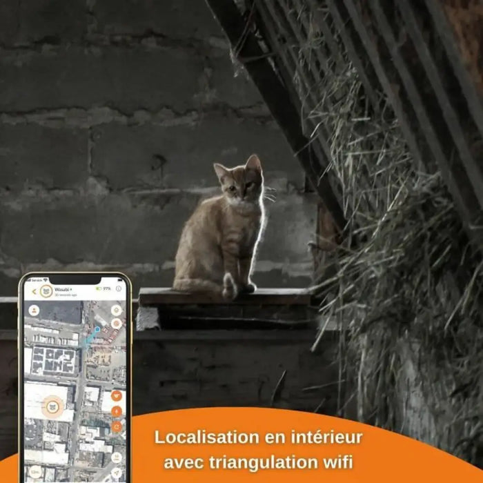 Anti-loss Localiser Weenect Weenect XS GPS Black - Домашни Животни<<<Дом Градина<<<BigBuy&&&Здраве и хигиена<<<Домашни