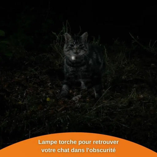 Anti-loss Localiser Weenect Weenect XS GPS Cat White - Домашни Животни<<<Дом Градина<<<BigBuy&&&Здраве и