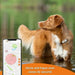 Anti-loss Localiser Weenect Weenect XS GPS White - Домашни Животни<<<Дом Градина<<<BigBuy&&&Здраве и хигиена<<<Домашни