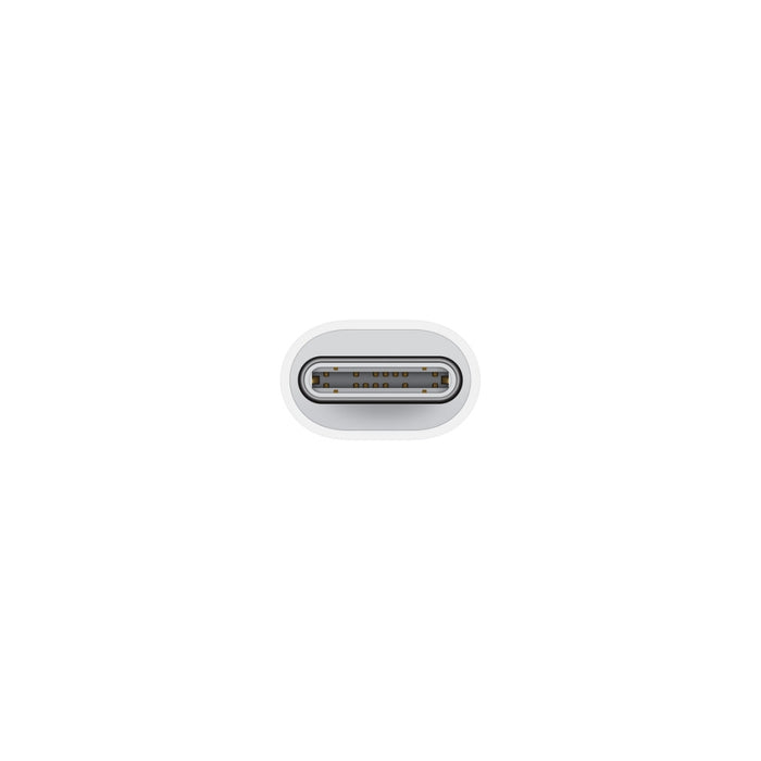 Apple Lightning to USB Cable