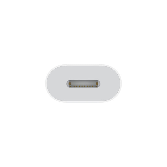 Apple Lightning to USB Cable
