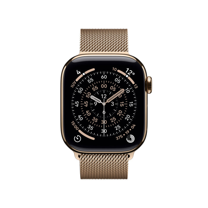 Smartwatch Apple Titanium