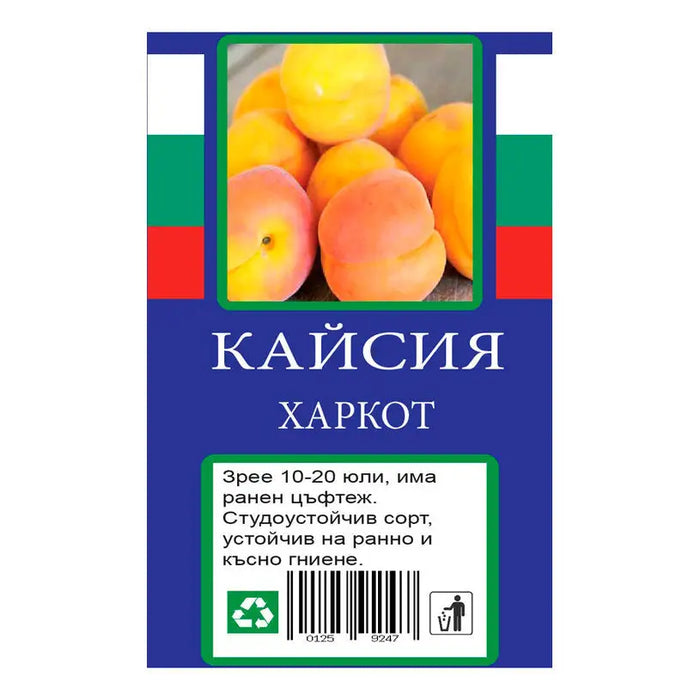 APRICOT WITH PACKAGED ROOT - Овошки<<<Външни растения<<<Градина<<<Praktiker