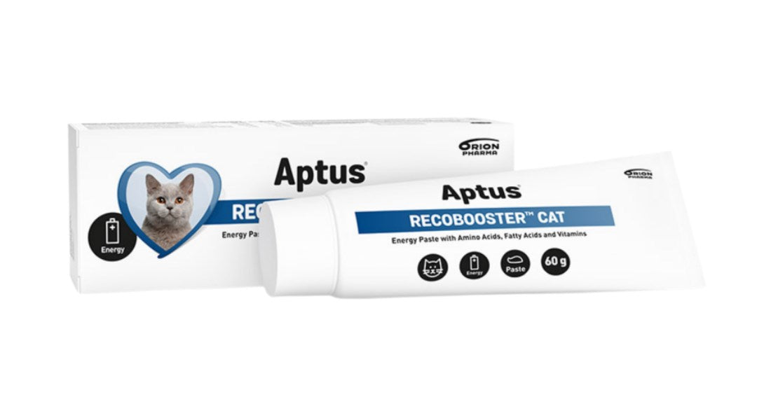 APTUS Recobooster Nutrition and appetite - supplements for cats – 60g