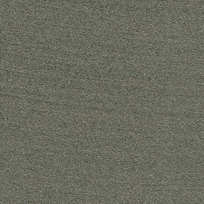 PAINT WITH EFFECT METALLIC GRAY 650 ML AQUIS