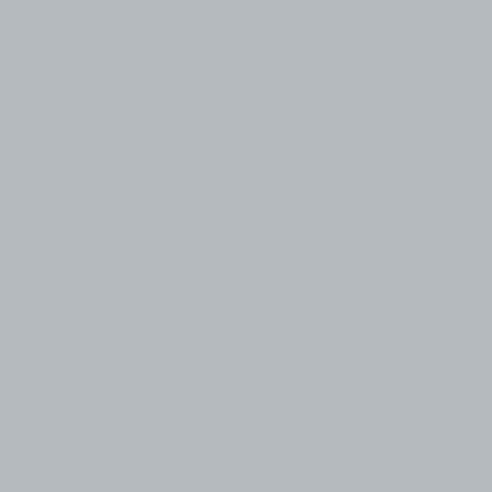 SILK PAINT LIGHT GRAY 650 ML AQUIS