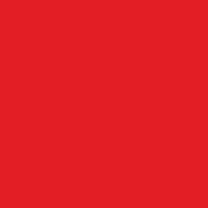 SILK DYE RED 650 ML AQUIS