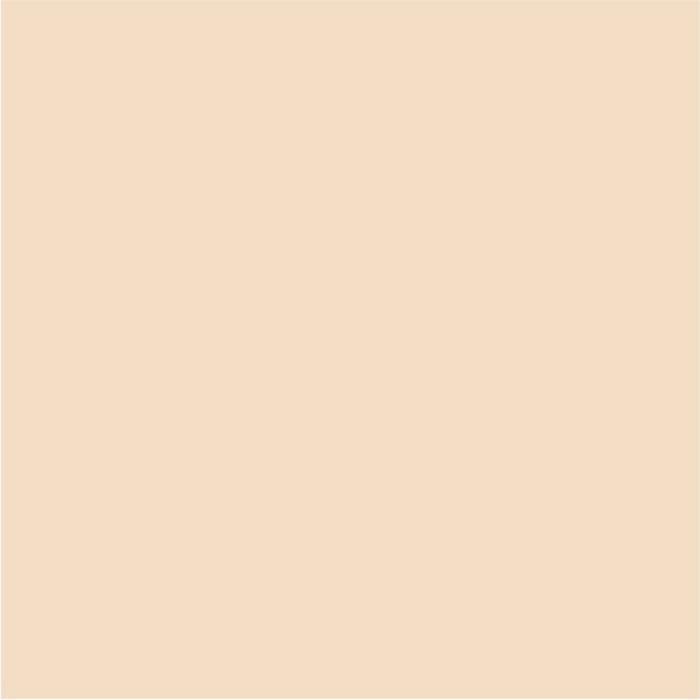 INTERIOR PAINT WITH SILICONE APRICOT COLOR 2.5 L AQUIS