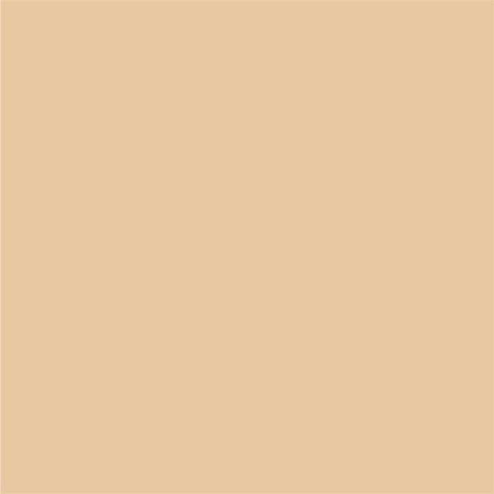 INTERIOR PAINT WITH SILICONE CORAL GLOSS 2.50 L AQUIS