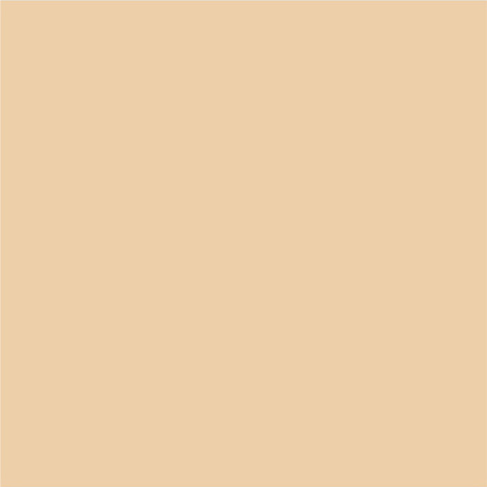 INTERIOR PAINT WITH SILICONE IRISH COFFEE 2.5 L AQUIS