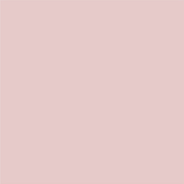 INTERIOR PAINT WITH SILICONE ROSE GARDEN 2.5 L AQUIS