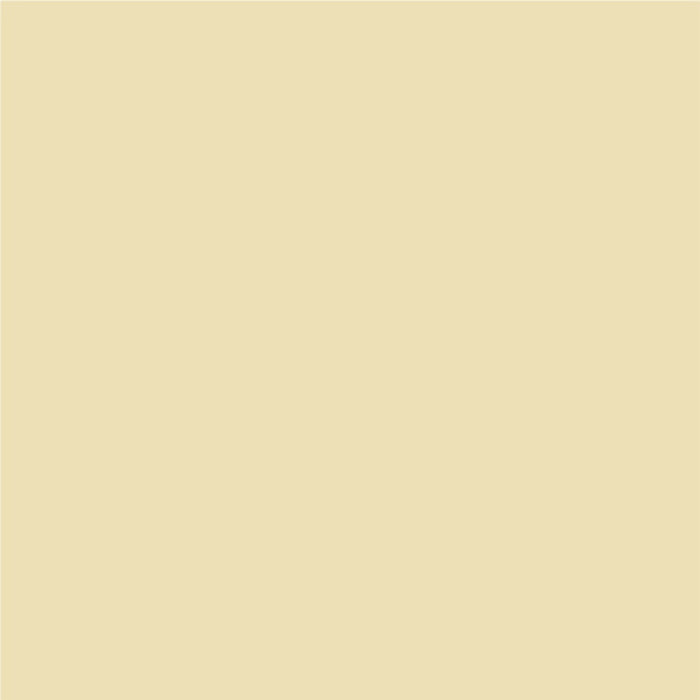 INTERIOR PAINT WITH SILICONE TROPICAL MANGO 2.5 L AQUIS