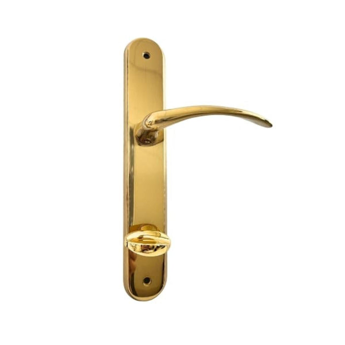 DOOR HANDLE INTESA THEMA
