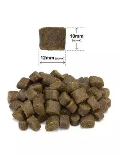 ARQUIVET Fresh Iberian Pork and fish - semi-moist dog food - 2,5kg