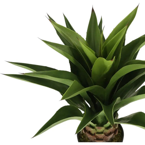 ARTIFICIAL AGAVE PLANT 82CM HD HD-10986 - Изкуствени растения<<<Стайни растения<<<Градина<<<Praktiker