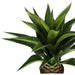 ARTIFICIAL AGAVE PLANT 82CM HD HD-10986 - Изкуствени растения<<<Стайни растения<<<Градина<<<Praktiker