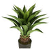 ARTIFICIAL AGAVE PLANT 82CM HD HD-10986 - Изкуствени растения<<<Стайни растения<<<Градина<<<Praktiker