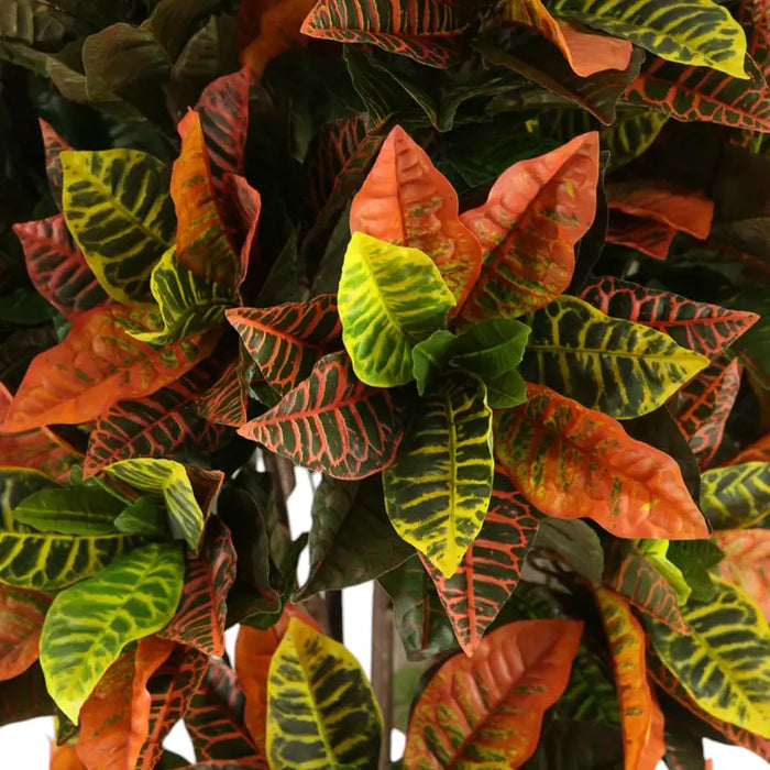 ARTIFICIAL CROTON PLANT 150CM HD HD-10978 - Изкуствени растения<<<Стайни растения<<<Градина<<<Praktiker