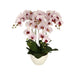 ARTIFICIAL ORCHID PLANT 70CM HD HD-10994 - Изкуствени растения<<<Стайни растения<<<Градина<<<Praktiker