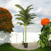 ARTIFICIAL PLANT ARECA PALM 210CM HD HD-10974 - Изкуствени растения<<<Стайни растения<<<Градина<<<Praktiker