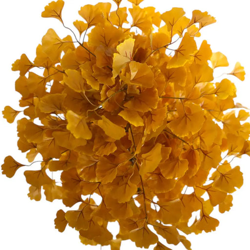 ARTIFICIAL PLANT GINKO BILOBA 145CM HD HD-10985 - Изкуствени растения<<<Стайни растения<<<Градина<<<Praktiker