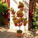 ARTIFICIAL PLANT GINKO BILOBA 80CM HD HD-10984 - Изкуствени растения<<<Стайни растения<<<Градина<<<Praktiker