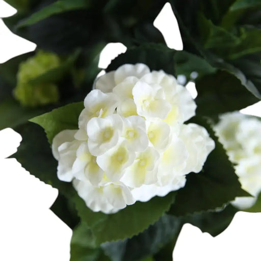 ARTIFICIAL PLANT HYDRANGEA 72CM HD HD-10989 - Изкуствени растения<<<Стайни растения<<<Градина<<<Praktiker