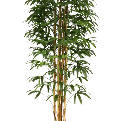 ARTIFICIAL PLANT PALM BENJAMIN 200CM HD HD-10972 - Изкуствени растения<<<Стайни растения<<<Градина<<<Praktiker