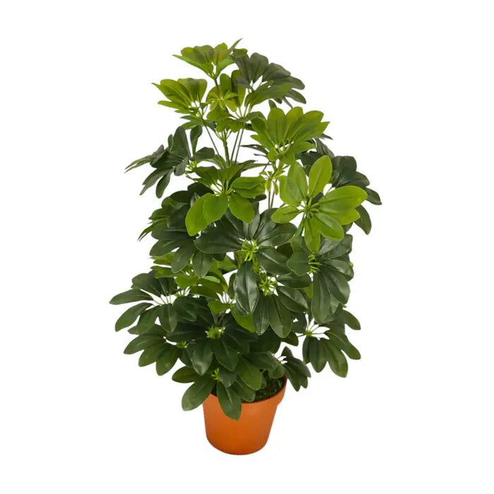 ARTIFICIAL PLANT SCHEFLERA 65CM HD HD-10980 - Изкуствени растения<<<Стайни растения<<<Градина<<<Praktiker