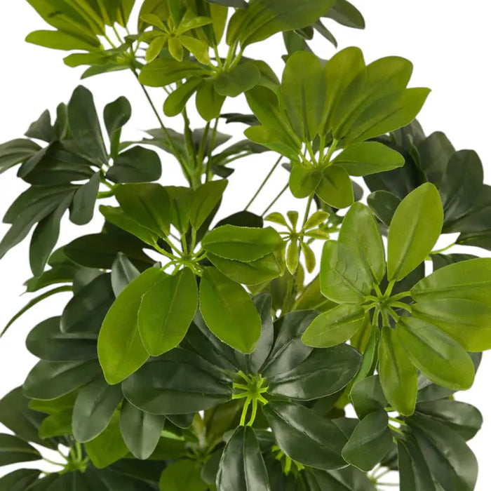 ARTIFICIAL PLANT SCHEFLERA 65CM HD HD-10980 - Изкуствени растения<<<Стайни растения<<<Градина<<<Praktiker