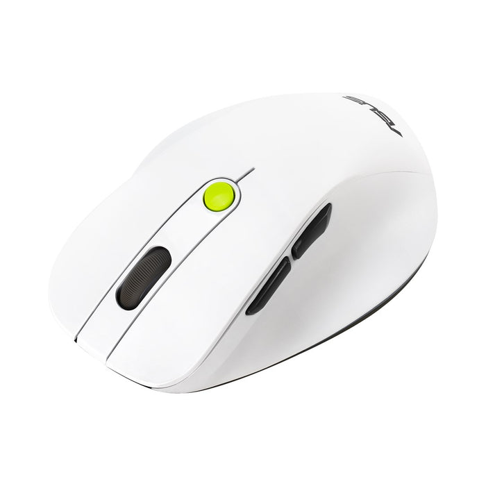 ASUS MD105 /VT-GN mouse Universal Right-hand RF Wireless + Bluetooth 2400 DPI