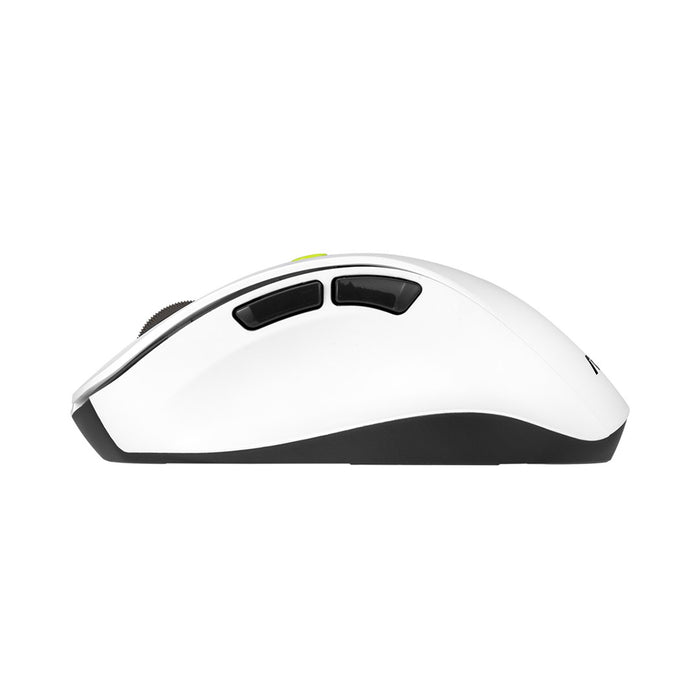 ASUS MD105 /VT-GN mouse Universal Right-hand RF Wireless + Bluetooth 2400 DPI