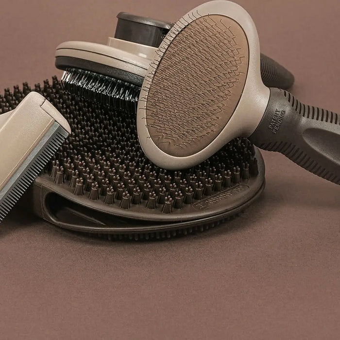 Backcombing brush Gloria Oval - Домашни Животни<<<Дом Градина<<<BigBuy&&&Здраве и хигиена<<<Домашни Животни<<<Дом