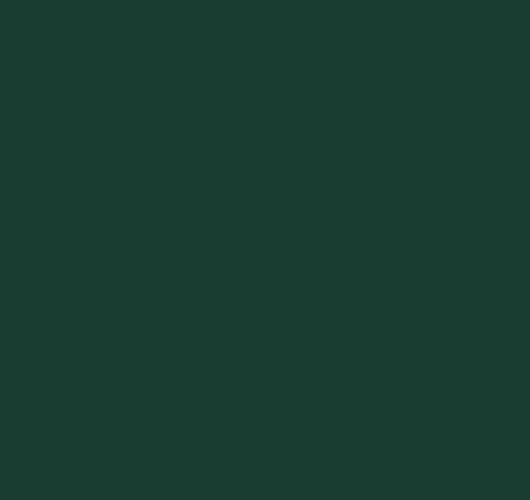 INFINITY 2IN1 GREEN PAINT 0.75L