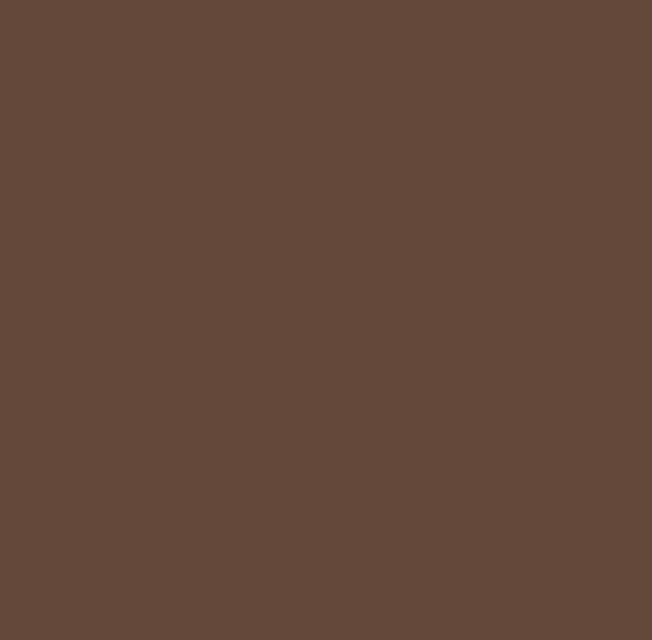 INFINITY 2IN1 BROWN PAINT 0.75L