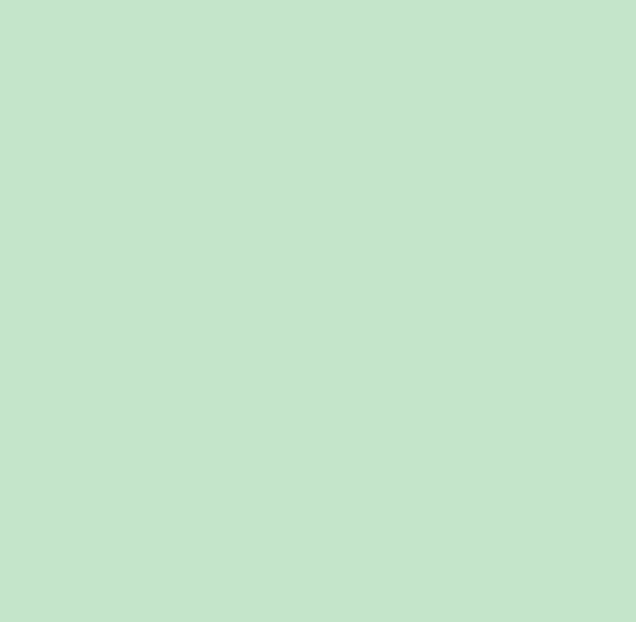 INFINITY 2IN1 PAINT LIGHT GREEN 0.75L