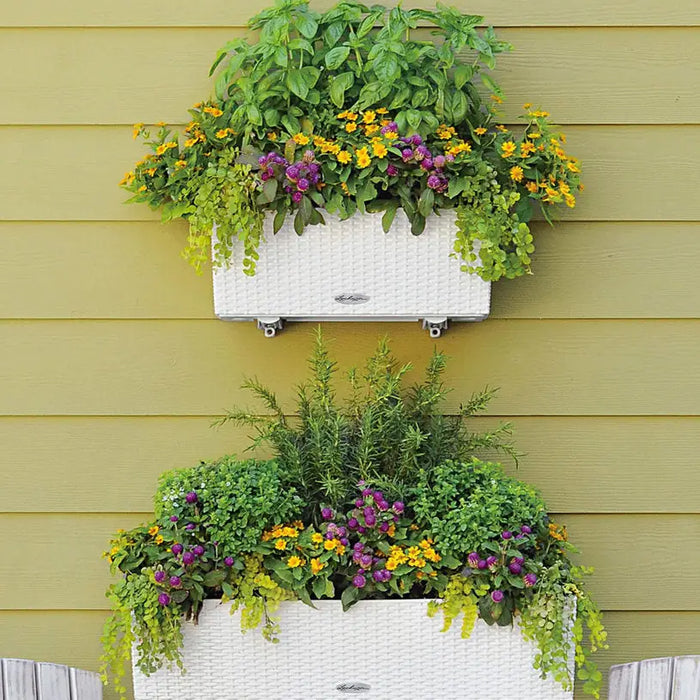 BALCONY 80CM LECHUZA COTTAGE - Сандъци<<<Саксии кашпи и цветарници<<<Градина<<<Praktiker&&&Сандъци<<<Саксии кашпи и