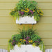 BALCONY 80CM LECHUZA COTTAGE - Сандъци<<<Саксии кашпи и цветарници<<<Градина<<<Praktiker&&&Сандъци<<<Саксии кашпи и