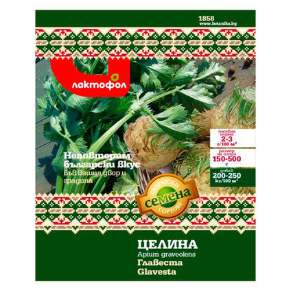 CELERY SEEDS BULGARIAN SEEDS
