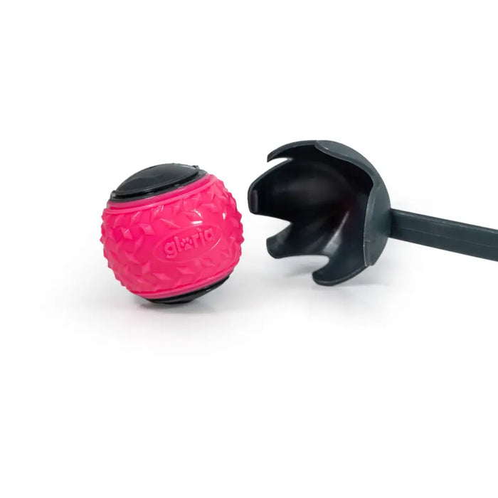 Ball Launcher for Dogs Gloria Grey polypropylene TPR M - Домашни Животни<<<Дом Градина<<<BigBuy&&&Играчки<<<Домашни