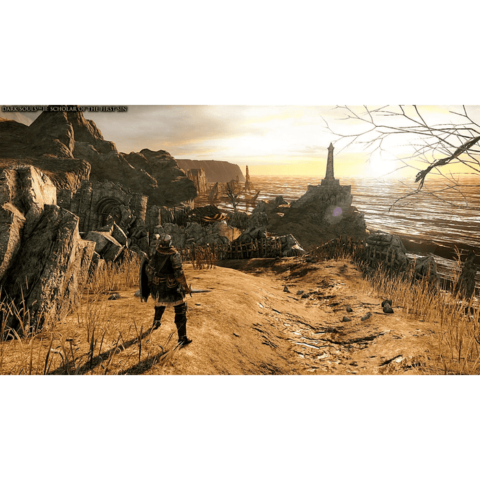 Dark Souls Trilogy Game (PS4)