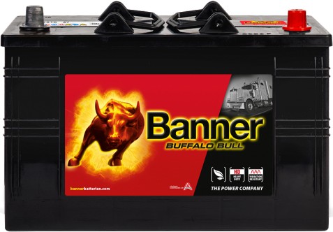 BANNER BUFFALO BULL 110AH 800A R+