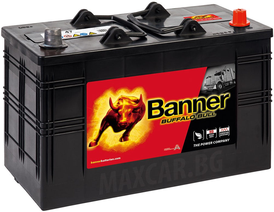 BANNER BUFFALO BULL 110AH 800A R+
