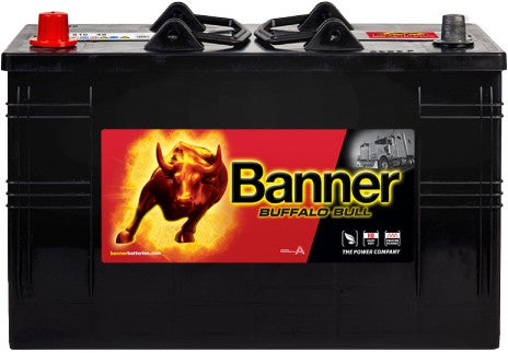 BANNER BUFFALO BULL 110AH 800A L+