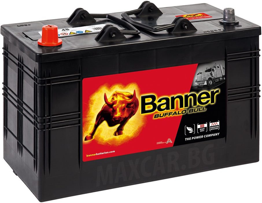 BANNER BUFFALO BULL 110AH 800A L+