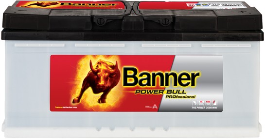 BANNER POWER BULL 110AH 900A R+