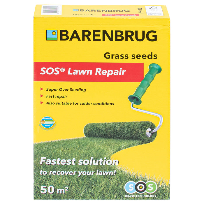 GRASS MIXTURE 1KG, 30-50M² BARENBRUG