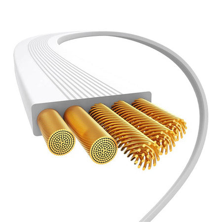Baseus USB-C to USB-C 100W Charging Cable (White) Bayern Edition