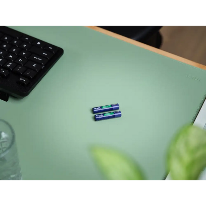 Batteries Trust 25585 - BatteriesBAL-BAT<<<batteries and chargersBAL<<<ActionPL&&&Зареждащи се Батерии<<<Електроника